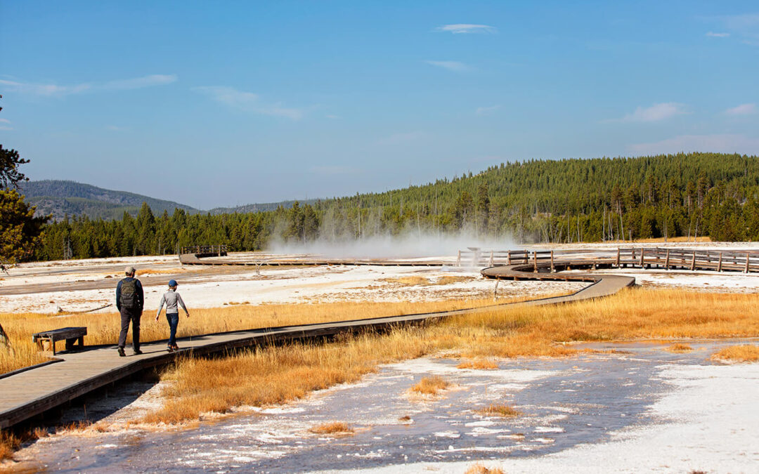 Visiting Yellowstone in 2024 – Must See Attractions!